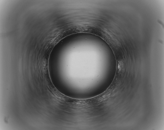 X0000091170867200708161457