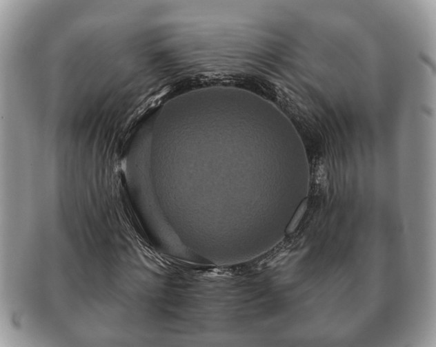 X0000091170868200708161457