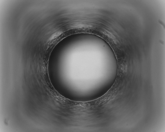 X0000091170869200708161457