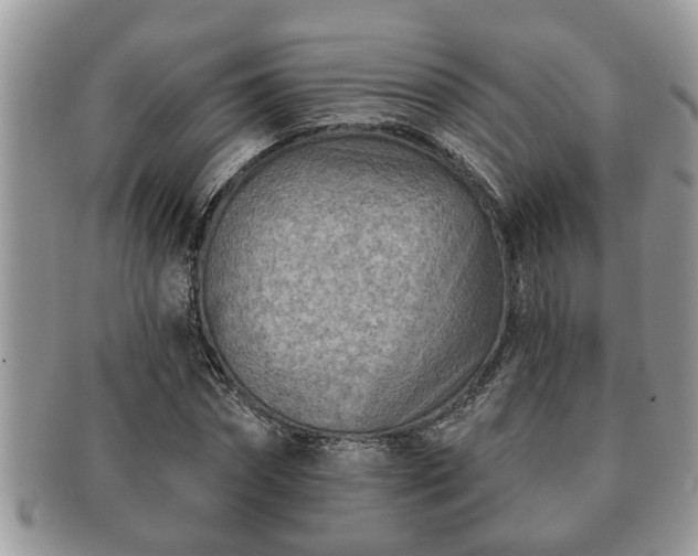 X0000091170874200708161457