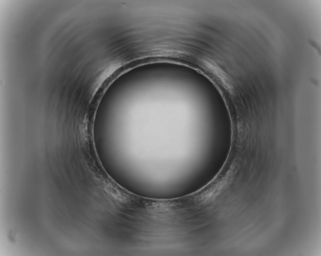 X0000091170875200708161457