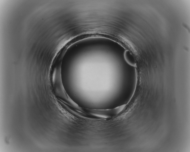 X0000091170876200708161457