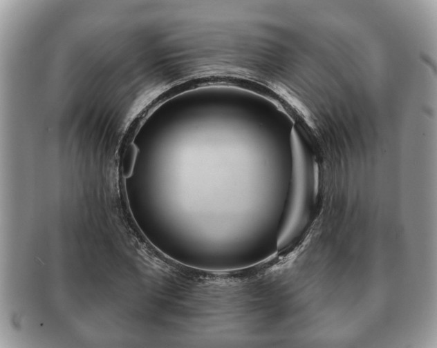 X0000091170877200708161457