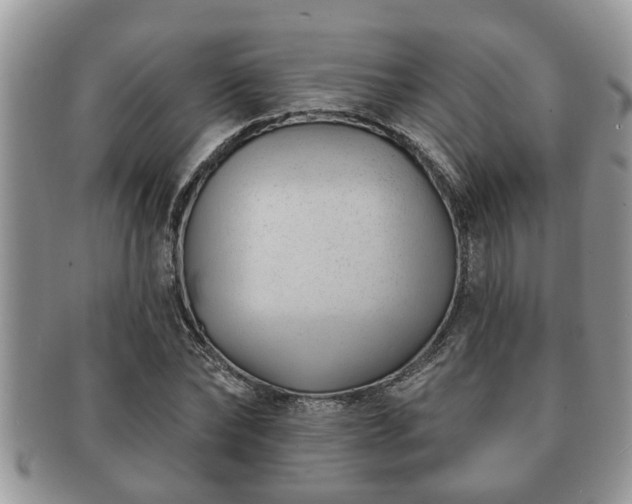 X0000091170878200708161457