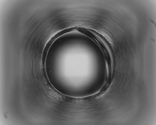 X0000091170880200708161457