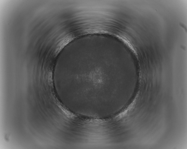 X0000091170881200708161457