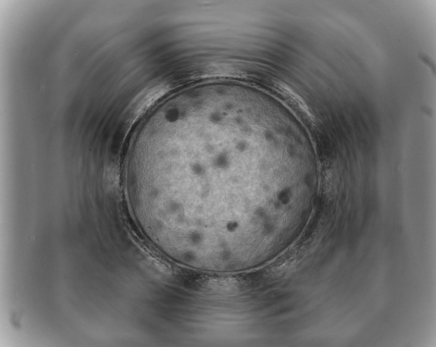 X0000091170882200708161457