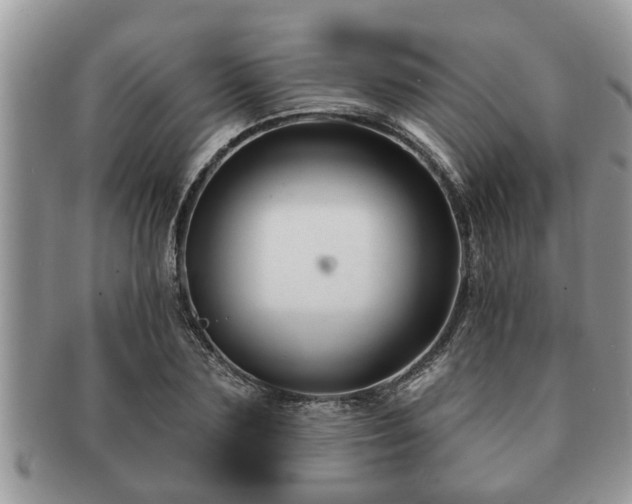 X0000091170883200708161457