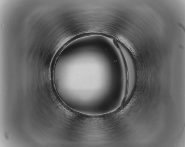 X0000091170884200708161457