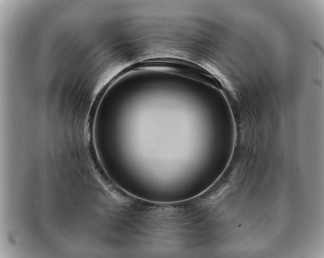 X0000091170885200708161457