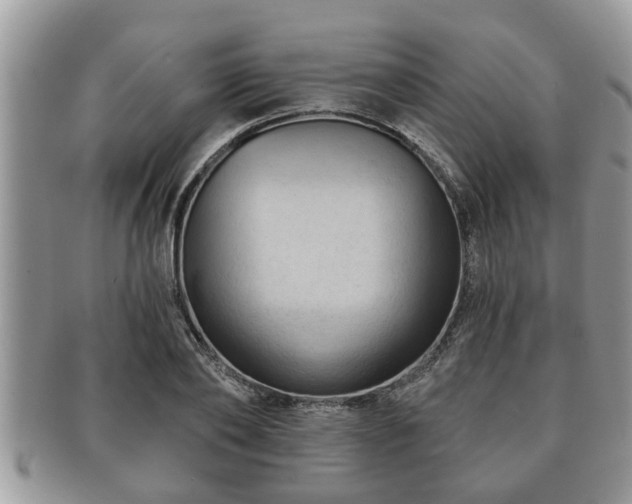 X0000091170886200708161457