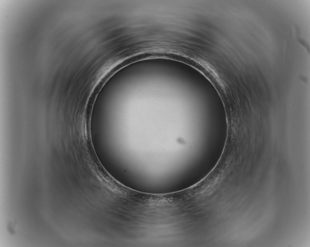 X0000091170887200708161457