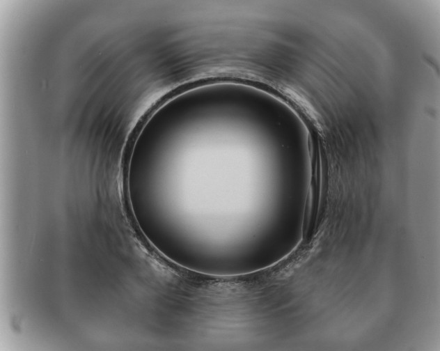 X0000091170888200708161457