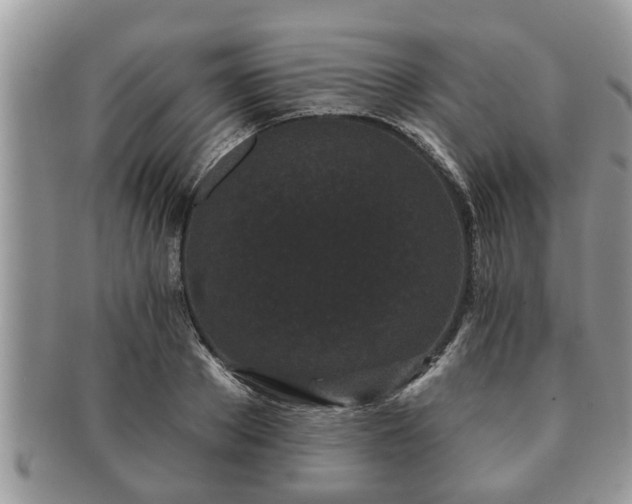 X0000091170889200708161457