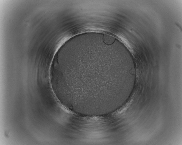 X0000091170891200708161457