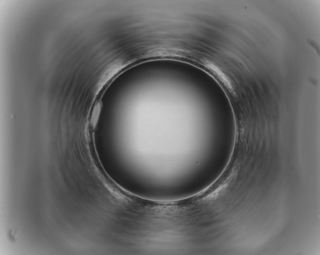 X0000091170893200708161457