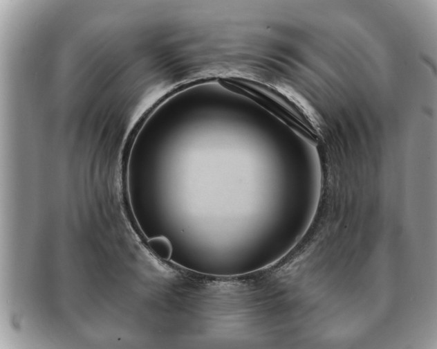 X0000091170894200708161457