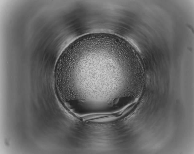 X0000091170895200708161456