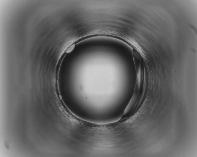 X0000091170896200708161456