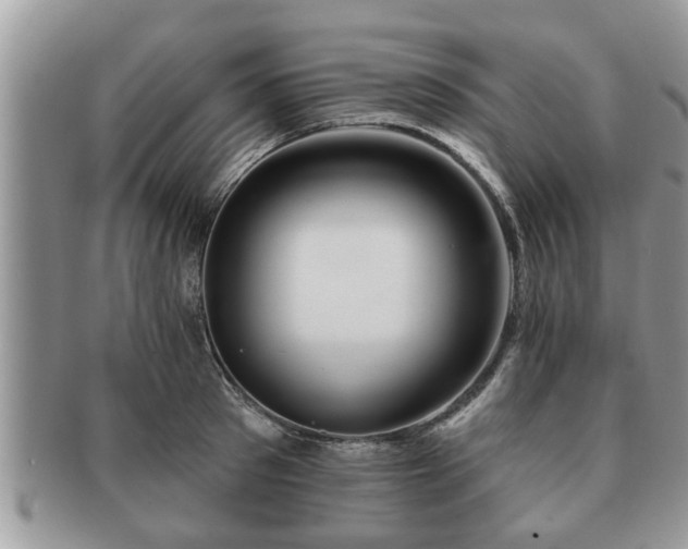 X0000091170897200708161456