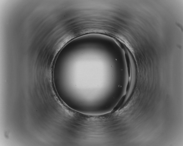 X0000091170898200708161456