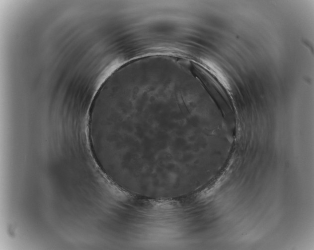 X0000091170899200708161456