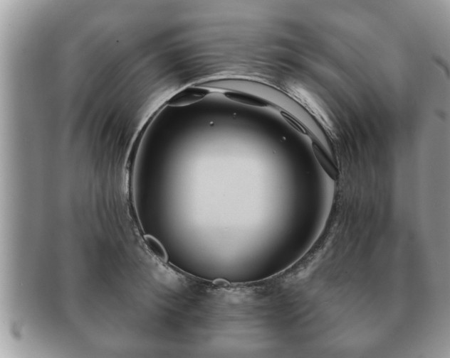 X0000091170900200708161456