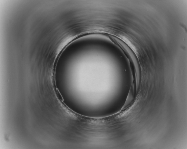 X0000091170901200708161456