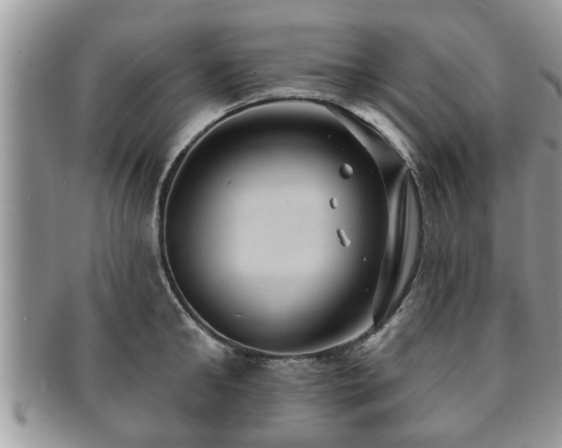 X0000091170902200708161456