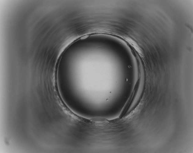 X0000091170904200708161456