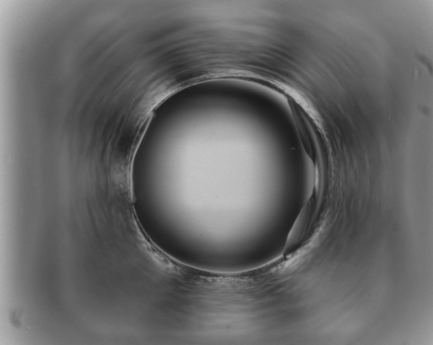 X0000091170905200708161456