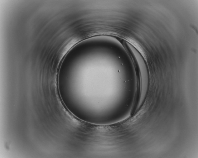 X0000091170906200708161456