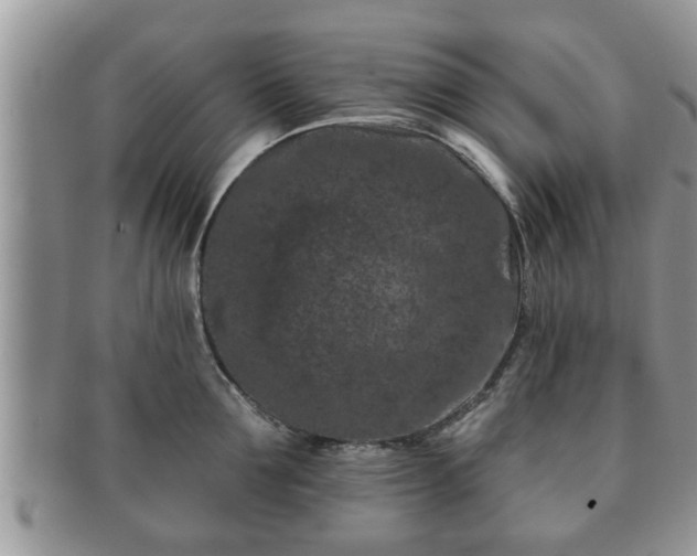 X0000091170907200708161456