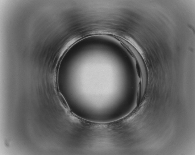 X0000091170909200708161456