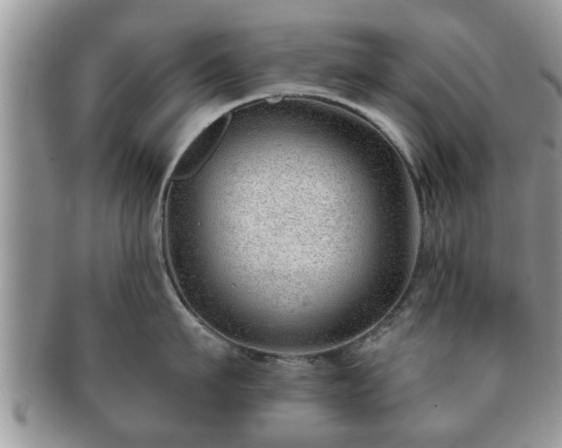 X0000091170911200708161456