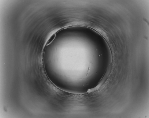 X0000091170912200708161456