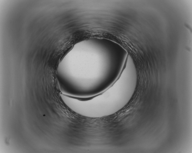 X0000091170916200708161456