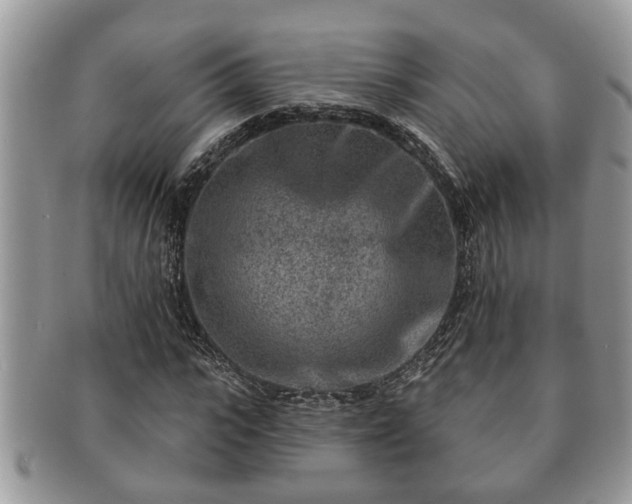 X0000091170919200708161456