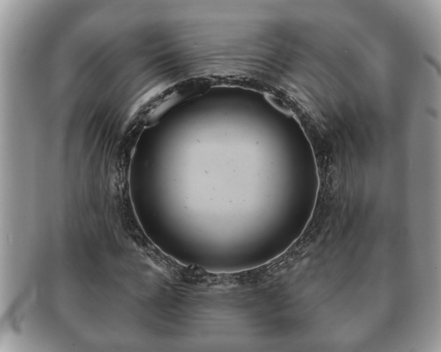 X0000091170920200708161456