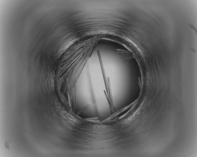 X0000091170921200708161456