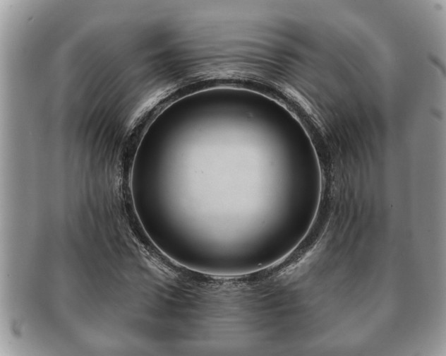 X0000091170922200708161456