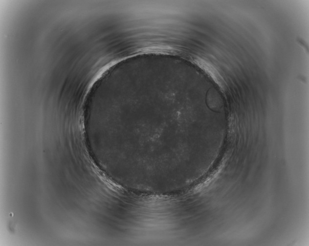 X0000091170923200708161456