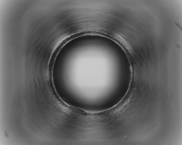 X0000091170924200708161456