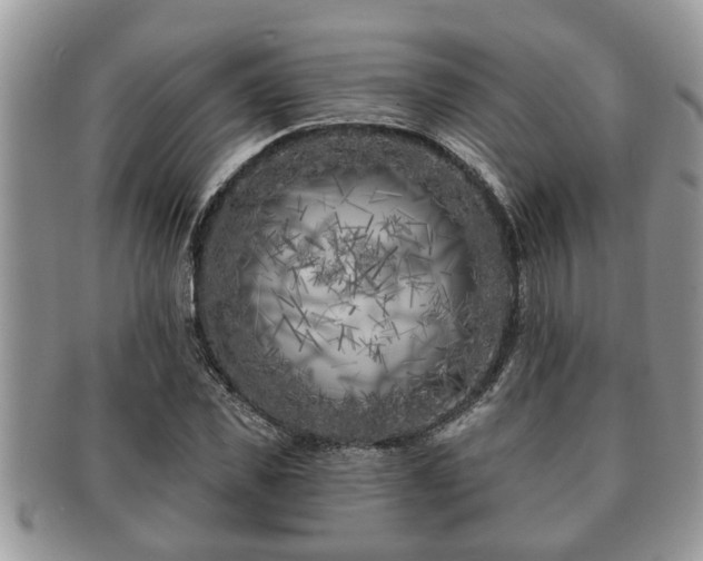 X0000091170925200708161456