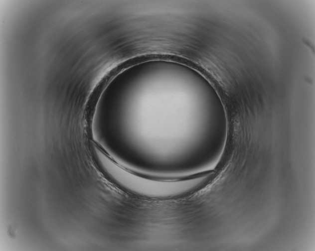 X0000091170926200708161456