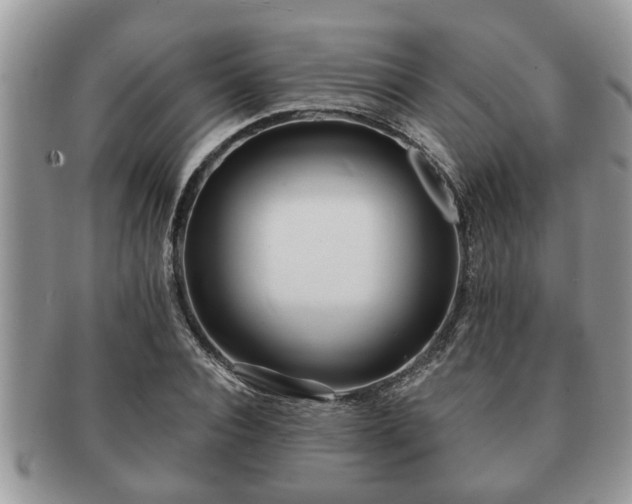 X0000091170928200708161456