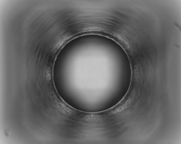 X0000091170929200708161456