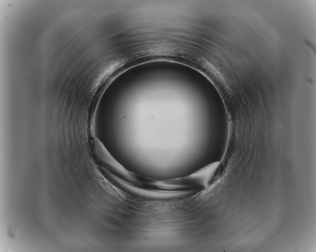 X0000091170930200708161456