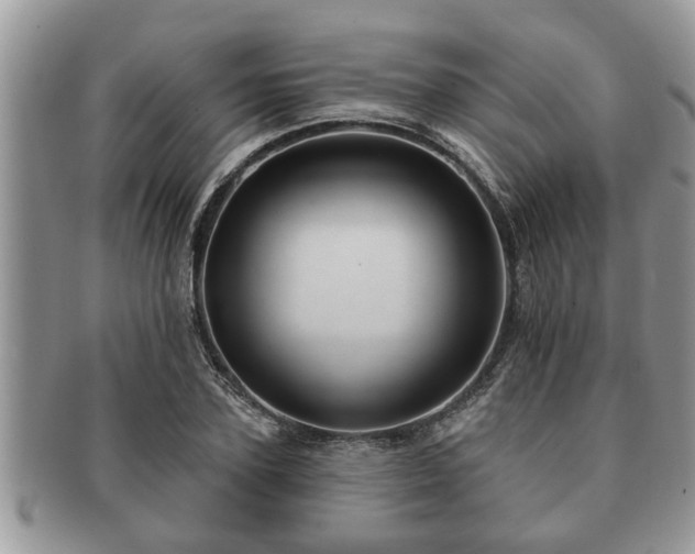 X0000091170931200708161456