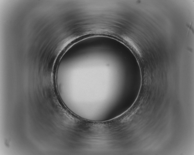 X0000091170932200708161456